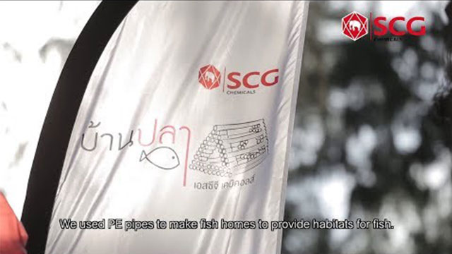 When I Volunteered to Build Fish Homes